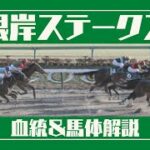 【2022根岸S】東京ダ1400mは複勝回収率131%の○○馬を狙え！！