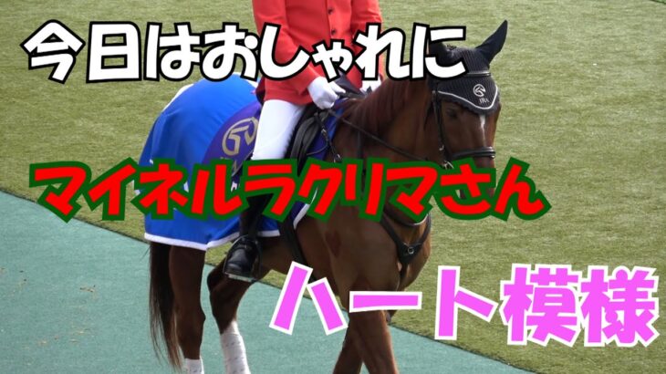 2022 今年初の 東京競馬場 開催 誘導馬の マイネルラクリマ さんもおしゃれに登場!! 現地映像