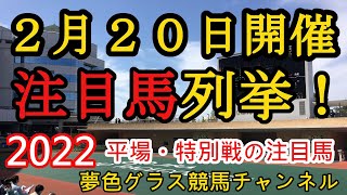 【注目馬列挙・平場予想】2022年2月20日JRA平場特別戦！注目のヒヤシンスステークスはこの馬に期待！