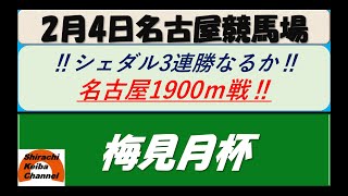 【競馬予想】梅見月杯 2022年2月4日 名古屋競馬場