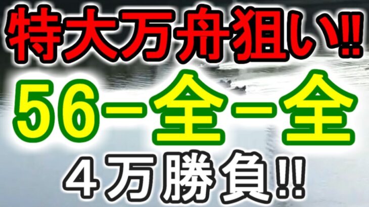 【競艇・ボートレース】特大万舟いでよ！多摩川全レース「56-全-全」4万勝負！！