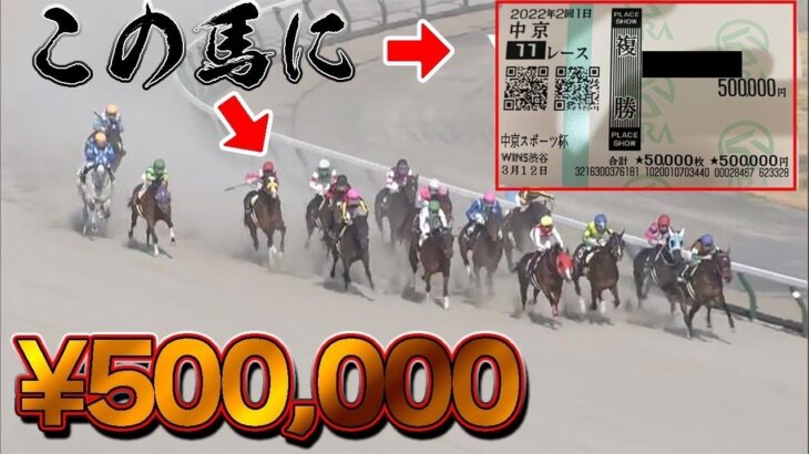 【競馬】6番人気の複勝に50万円賭けた結果！！！
