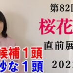 【競馬】 桜花賞 2022 直前展望(阪神牝馬S NZT 桜花賞の全頭分析はブログで！)