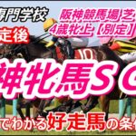 【競馬】阪神牝馬S2022 好走馬の条件は毎年決まっている 【競馬の専門学校】