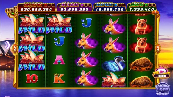 Wildkingdomz Casino Casino Slots gameplay 카지노 슬롯 게임  #wildkingdomz カジノスロットゲームプレイক্যাসিনো স্লট খেলা