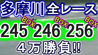 【競艇・ボートレース】多摩川で全レース「245BOX」&「246BOX」&「256BOX」４万勝負！！