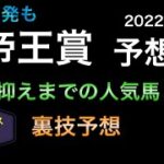 【競馬予想】 地方交流重賞　帝王賞  2022  予想
