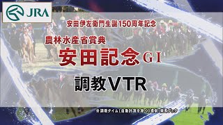 【調教動画】2022年 安田記念｜JRA公式