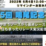 第75回 鳴尾記念 G3  他中京5レースから最終レースまで  競馬実況ライブ!