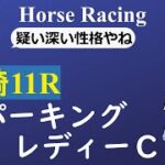 【競馬】スパーキングレディーカップ2022予想　競走馬は生き物