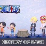 [ Pworld ] WCF 海賊王系列 HISTORY OF SABO 開箱 Unboxing