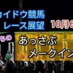 【2022ホッカイドウ競馬】10月6日(木)門別競馬レース展望～あっさぶメークイン特別
