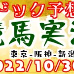 パドック予想で競馬実況🥕22年10月30日天皇賞秋週