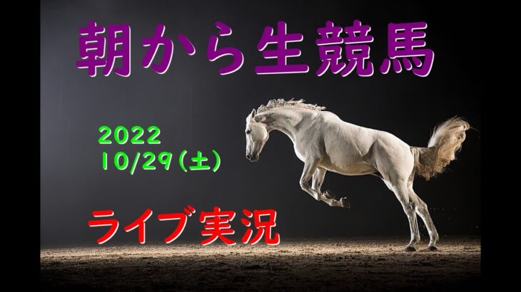 【中央競馬】　 朝から生競馬　ライブ配信　（新潟→阪神→東京）Horse Racing Commentary
