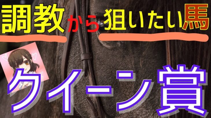 【競馬予想】船橋重賞 クイーン賞 2022－調教からおすすめする馬はこちら！【買い目勝負】