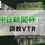 【調教動画】2022年 中日新聞杯｜JRA公式
