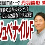 【競馬ブック】阪神ジュベナイルフィリーズ 2022 予想【TMトーク】（栗東）