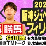 【競馬ブック】阪神ジュベナイルフィリーズ 2022 予想【TMトーク】（美浦）