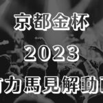 【京都金杯2023】有力馬考察【中京競馬ライブ予想】
