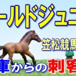 ゴールドジュニア【笠松競馬2023】兵庫から強い馬が参戦⁉