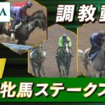 【調教動画】2023年 京都牝馬ステークス｜JRA公式