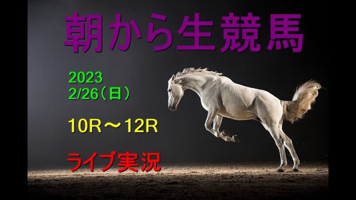 【競馬実況】朝から生競馬　ライブ配信　（小倉→阪神→中山）Horse Racing Commentary