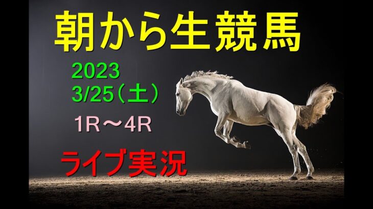 【競馬実況】朝から生競馬　ライブ配信　（中京→阪神→中山）Horse Racing Commentary