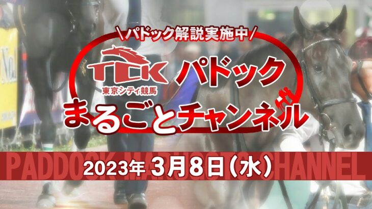 TCKパドックまるごとチャンネル（2023/3/8）