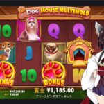 ゆかり＆きりたん 　夜中カジノ放送 ゲリラ犬　the dog house multihold 【B.Cgame】【ビーシーゲーム】
