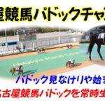 名古屋競馬パドックチャンネル